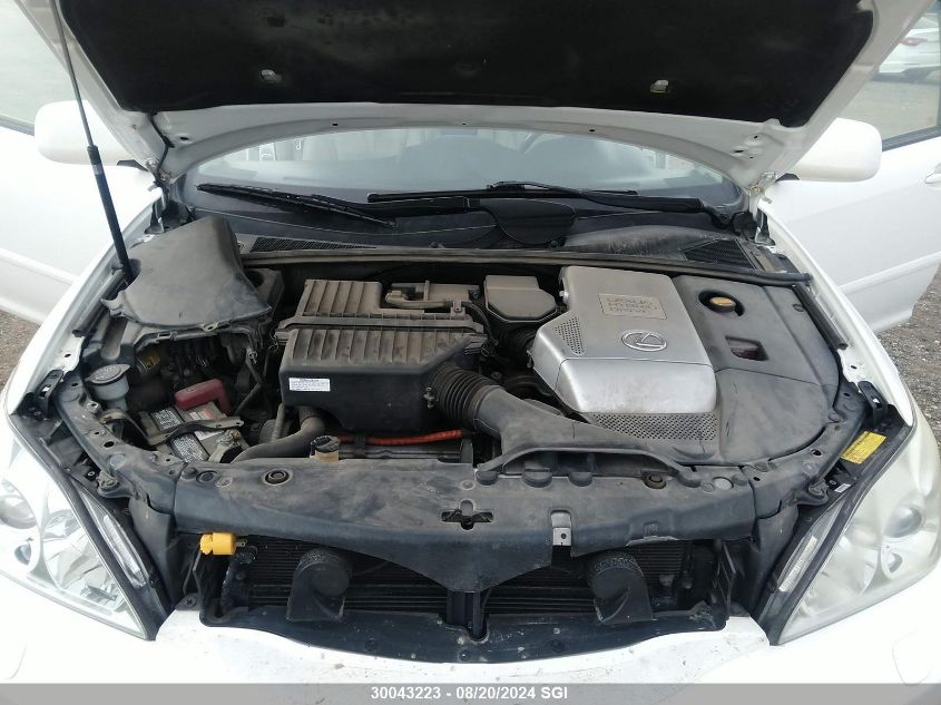 2007 Lexus Rx 400H VIN: JTJHW31UX72021809 Lot: 30043223