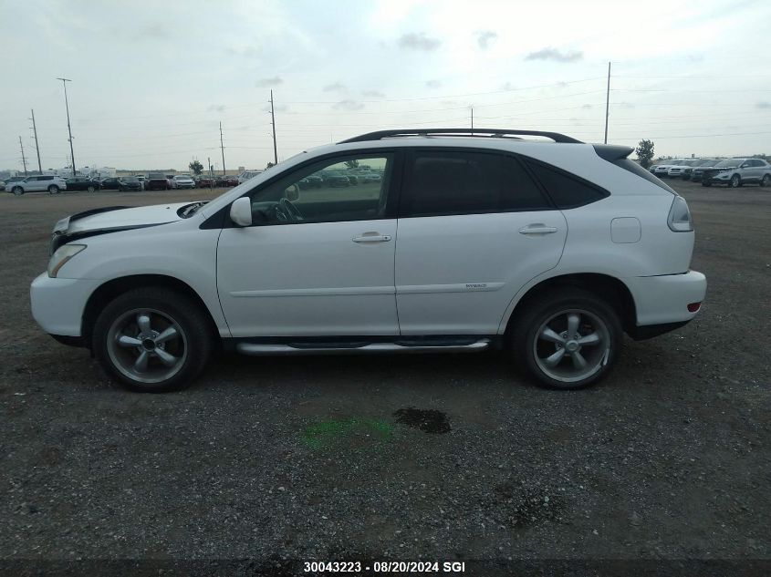 2007 Lexus Rx 400H VIN: JTJHW31UX72021809 Lot: 30043223