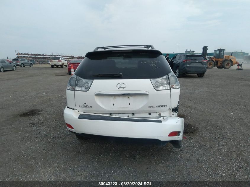 2007 Lexus Rx 400H VIN: JTJHW31UX72021809 Lot: 30043223