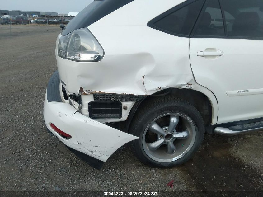 2007 Lexus Rx 400H VIN: JTJHW31UX72021809 Lot: 30043223