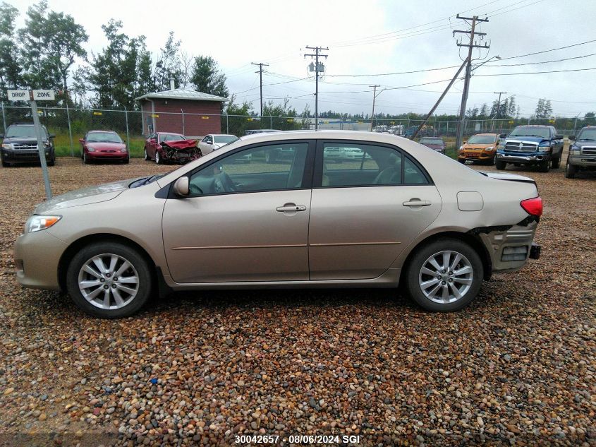 2010 Toyota Corolla S/Le/Xle VIN: 2T1BU4EE7AC198396 Lot: 30042657