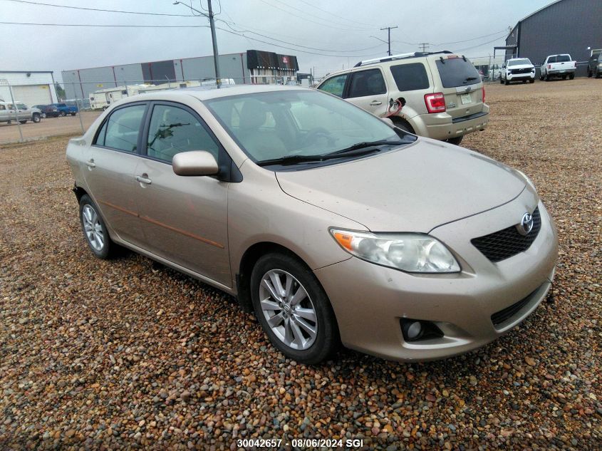 2010 Toyota Corolla S/Le/Xle VIN: 2T1BU4EE7AC198396 Lot: 30042657