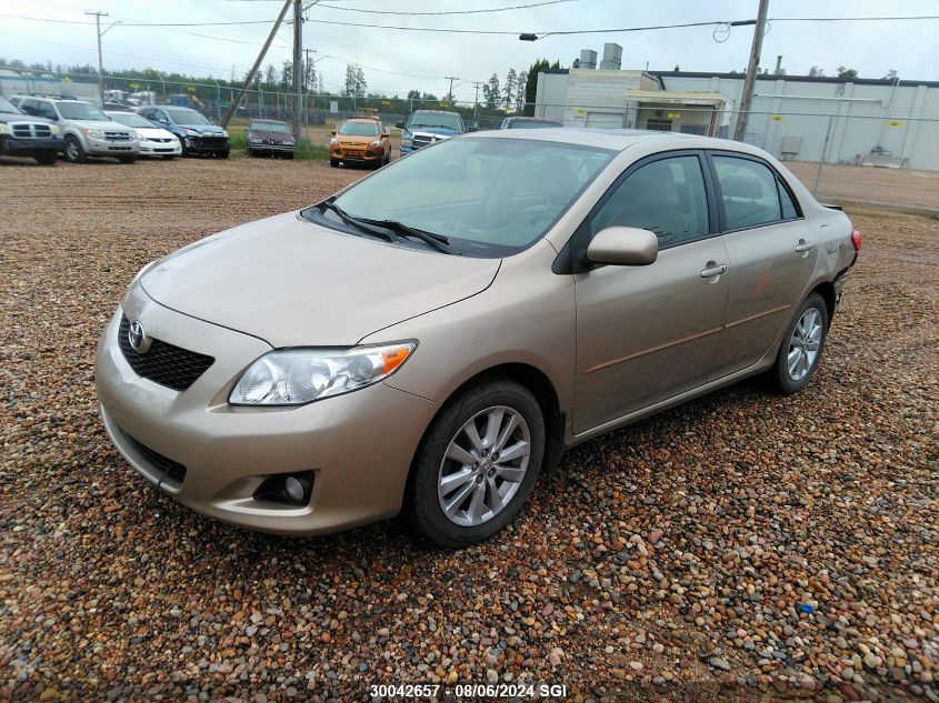 2010 Toyota Corolla S/Le/Xle VIN: 2T1BU4EE7AC198396 Lot: 30042657