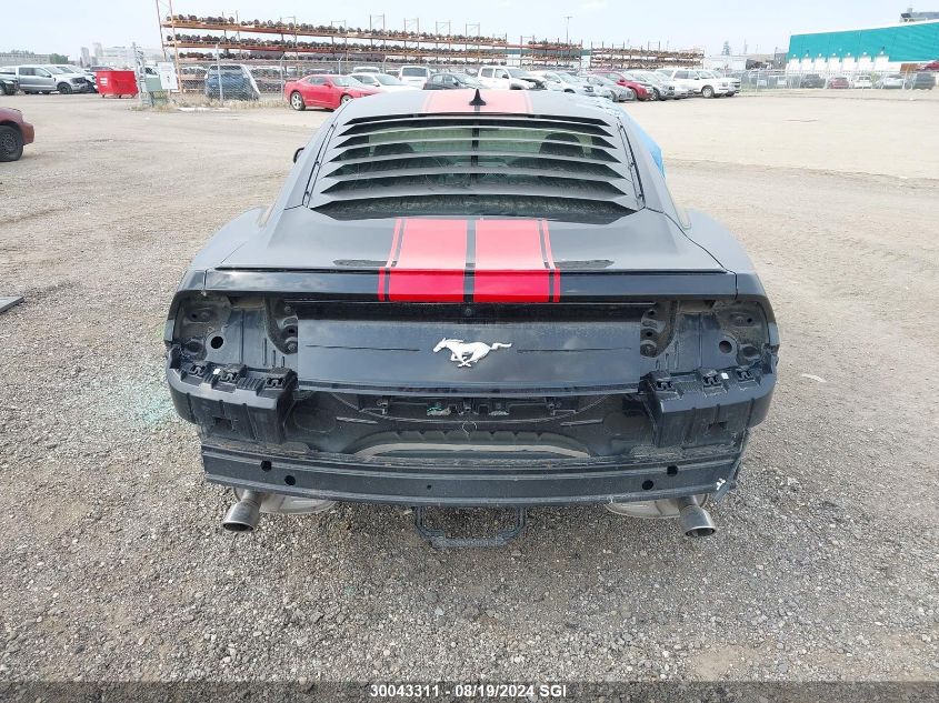 2020 Ford Mustang VIN: 1FA6P8TH6L5157230 Lot: 30043311