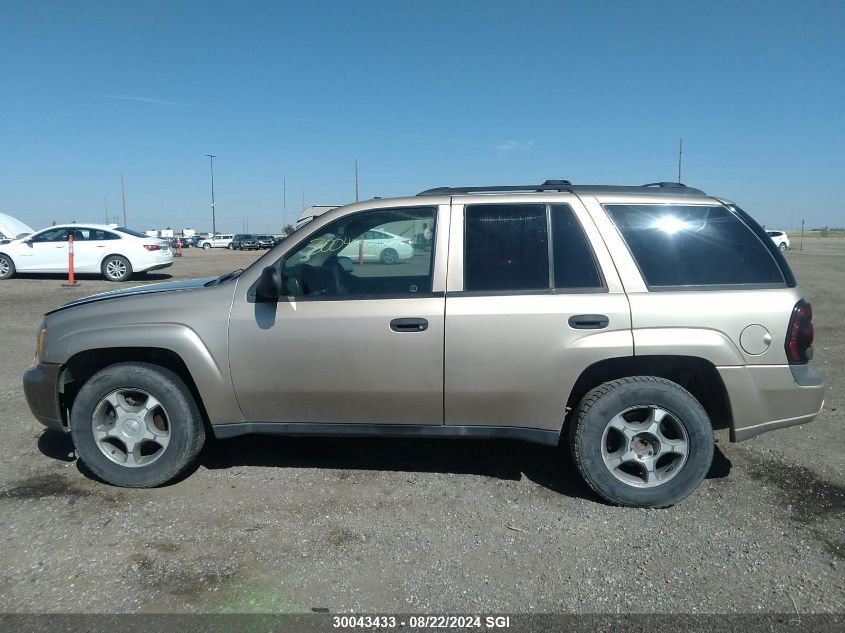 2006 Chevrolet Trailblazer Ls/Lt VIN: 1GNDT13S262313762 Lot: 30043433