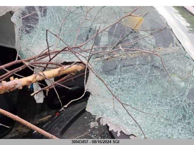 2017 Ford Escape S VIN: 1FMCU0F76HUD00955 Lot: 30043457