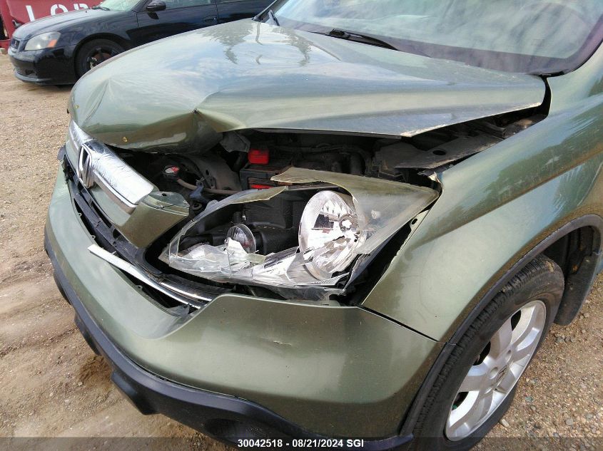 2009 Honda Cr-V Exl VIN: 5J6RE48769L807646 Lot: 30042518