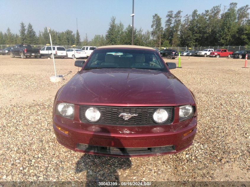 2006 Ford Mustang Gt VIN: 1ZVFT85H065261295 Lot: 30043399