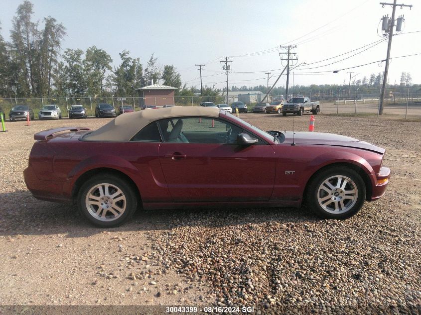 2006 Ford Mustang Gt VIN: 1ZVFT85H065261295 Lot: 30043399