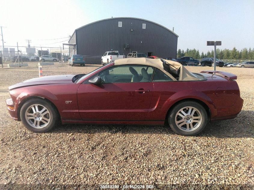 2006 Ford Mustang Gt VIN: 1ZVFT85H065261295 Lot: 30043399