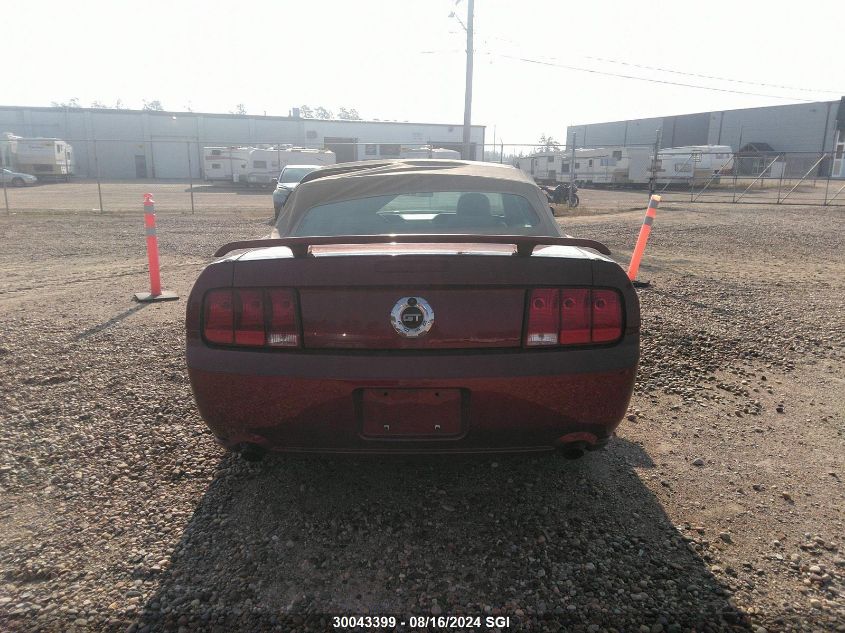 2006 Ford Mustang Gt VIN: 1ZVFT85H065261295 Lot: 30043399