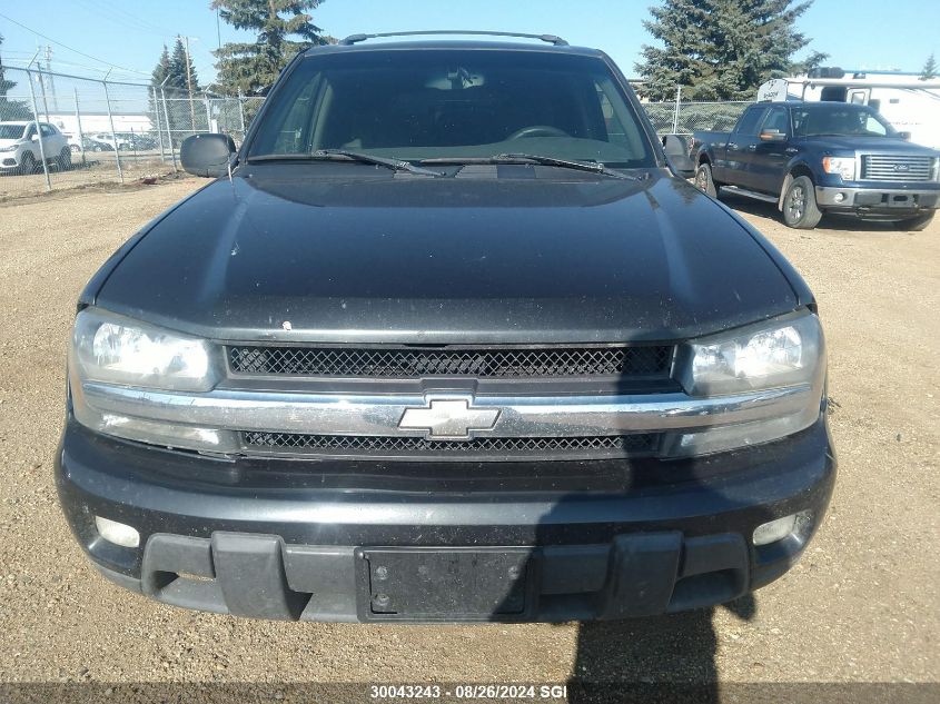 2003 Chevrolet Trailblazer VIN: 1GNDT13S132275730 Lot: 30043243