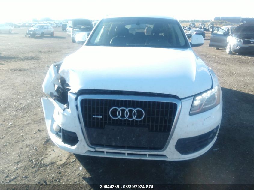 2011 Audi Q5 Premium VIN: WA1CKCFP1BA115677 Lot: 30044239