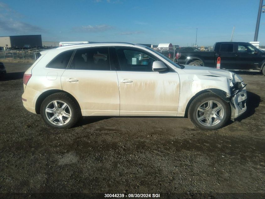 2011 Audi Q5 Premium VIN: WA1CKCFP1BA115677 Lot: 30044239