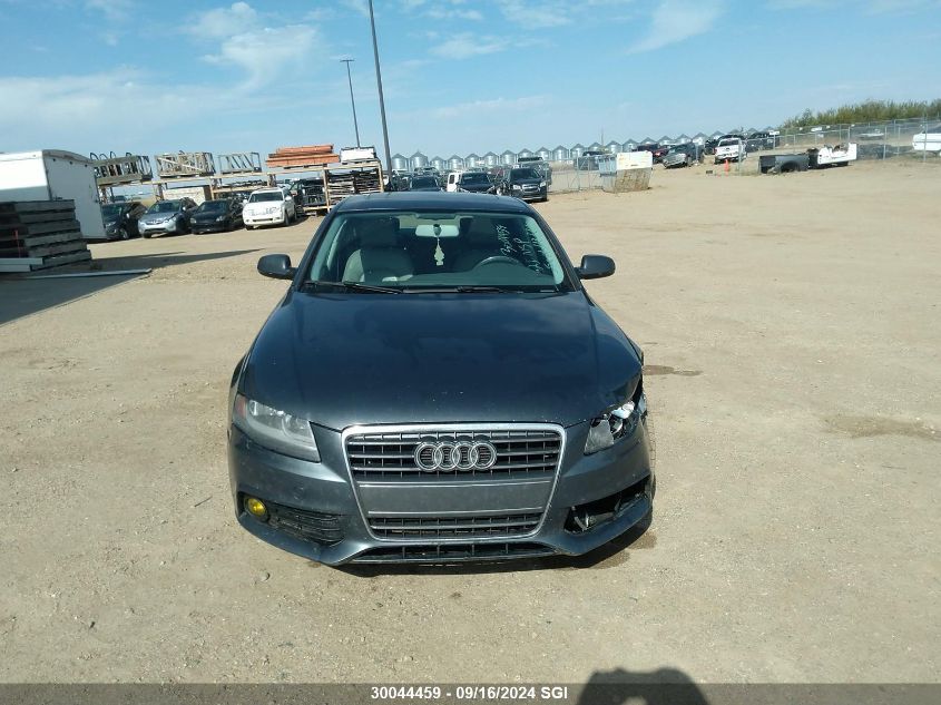 2010 Audi A4 Premium VIN: WAUDFCFL9AN020283 Lot: 30044459