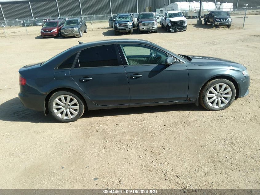 2010 Audi A4 Premium VIN: WAUDFCFL9AN020283 Lot: 30044459