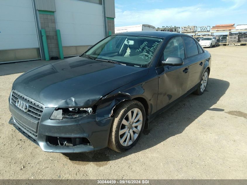 2010 Audi A4 Premium VIN: WAUDFCFL9AN020283 Lot: 30044459