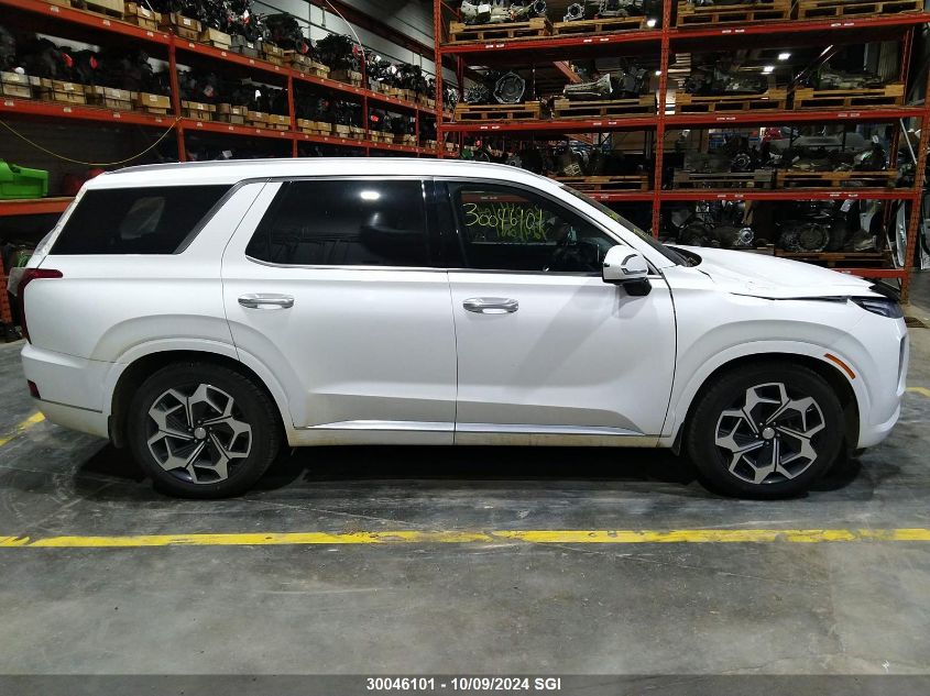 2020 Hyundai Palisade Limited VIN: KM8R5DHE8LU092323 Lot: 30046101