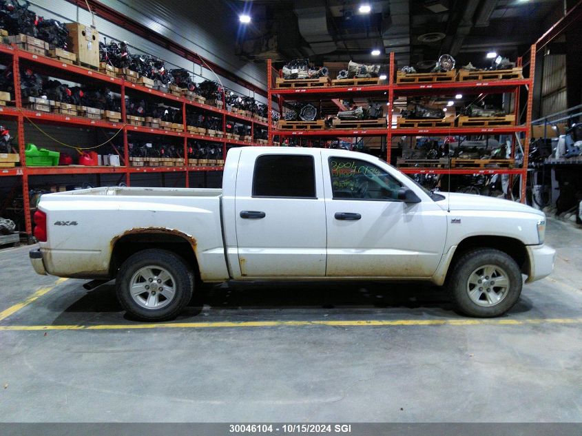 2011 Dodge Dakota Slt VIN: 1D7RW3GP3BS611129 Lot: 30046104