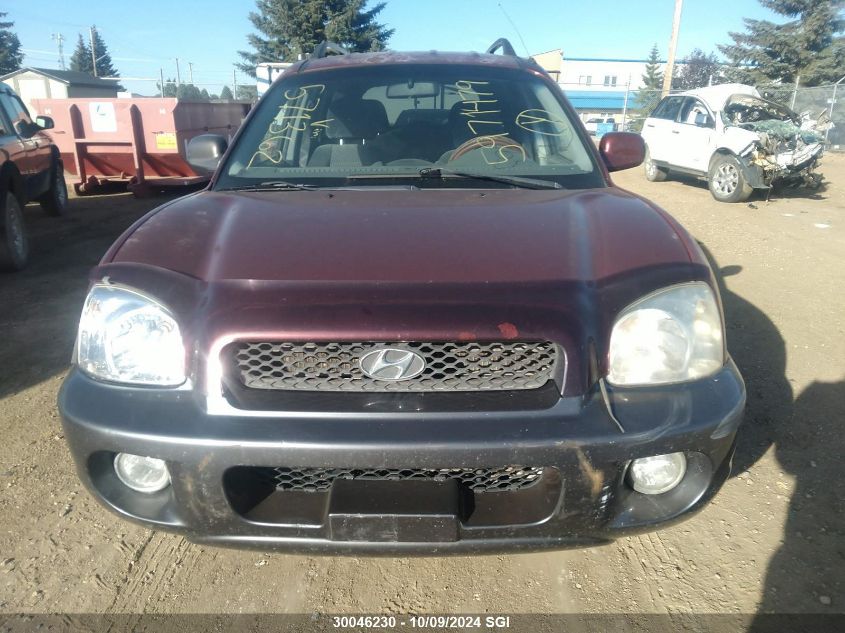 2004 Hyundai Santa Fe VIN: KM8SB13D24U571362 Lot: 30046230