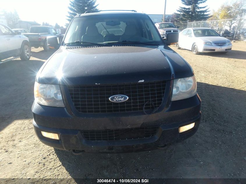 2004 Ford Expedition Eddie Bauer VIN: 1FMFU18L14LB30484 Lot: 30046474