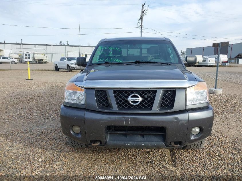 2009 Nissan Titan Xe/Se/Le/Pro-4X VIN: 1N6AA06C29N311591 Lot: 30046951