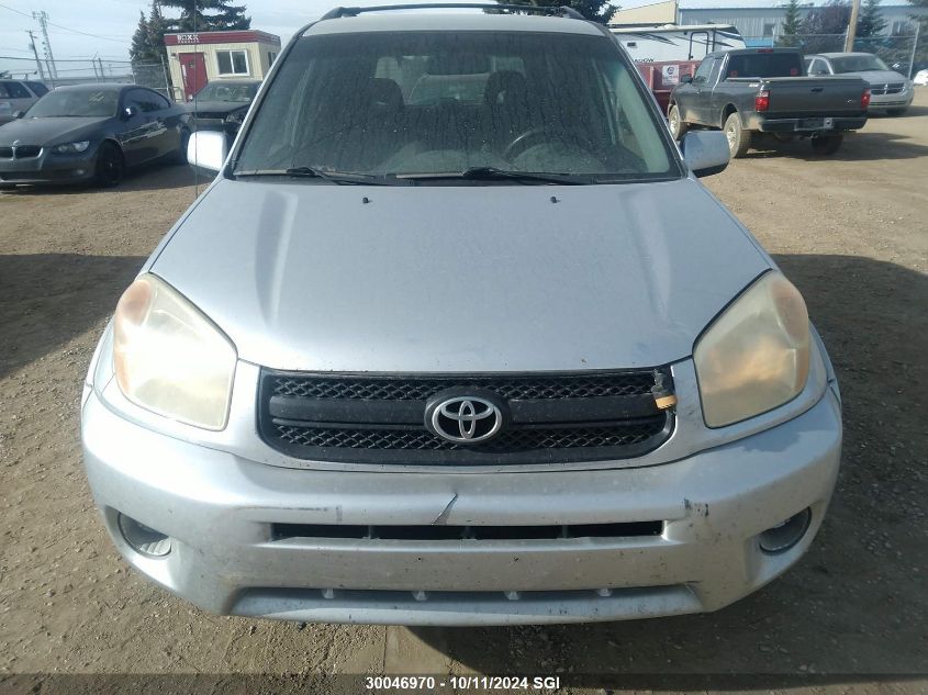 2004 Toyota Rav4 VIN: JTEHD20V646009377 Lot: 30046970