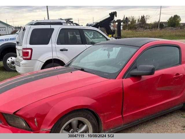 1ZVFT80N765103596 2006 Ford Mustang