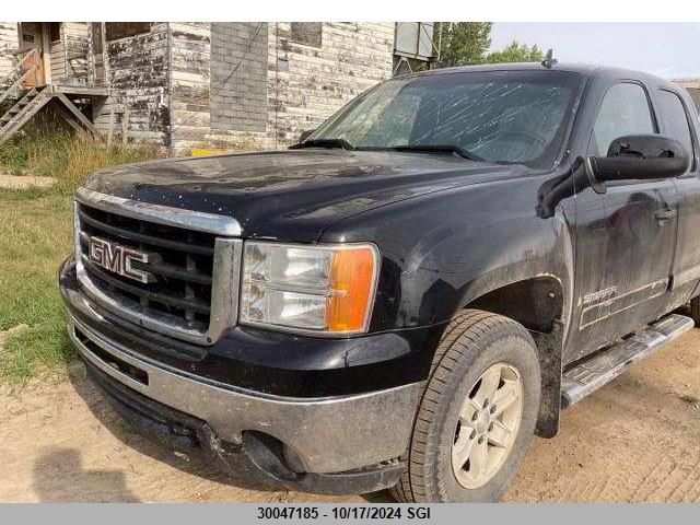 2009 GMC Sierra K1500 VIN: 1GTEK19019Z248999 Lot: 30047185