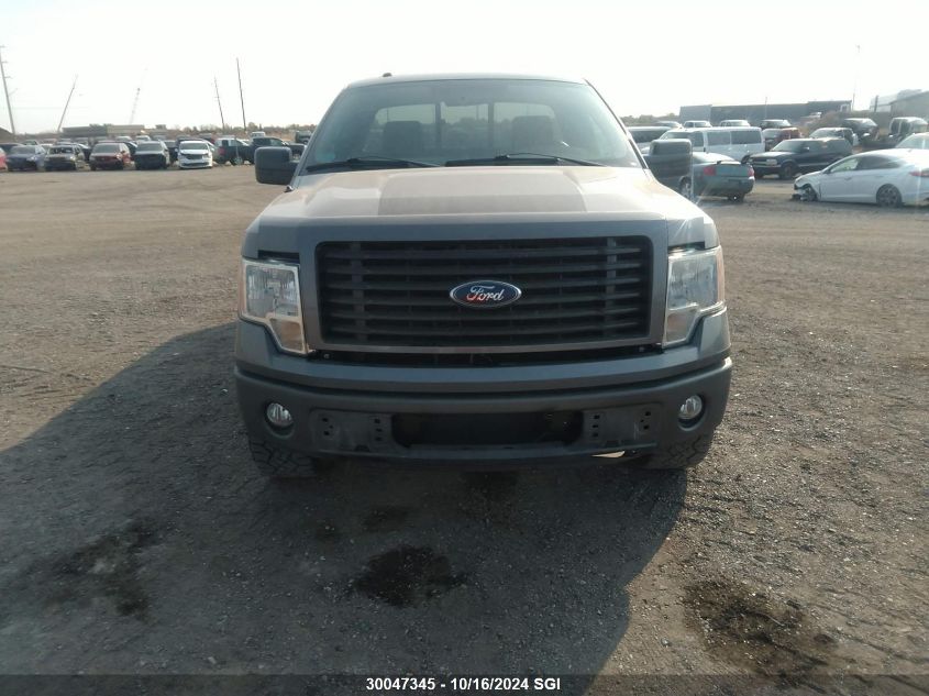 2014 Ford F150 VIN: 1FTMF1EF2EFA87195 Lot: 30047345