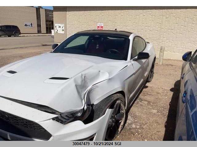 2022 Ford Mustang VIN: 1FA6P8TH0N5109466 Lot: 30047479