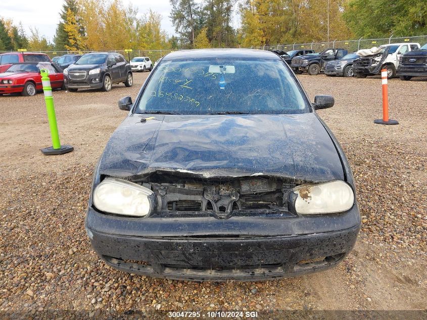 2002 Volkswagen Golf Gls VIN: 9BWGK21JX24034136 Lot: 30047295