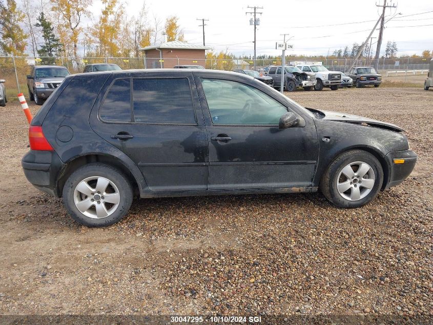 2002 Volkswagen Golf Gls VIN: 9BWGK21JX24034136 Lot: 30047295