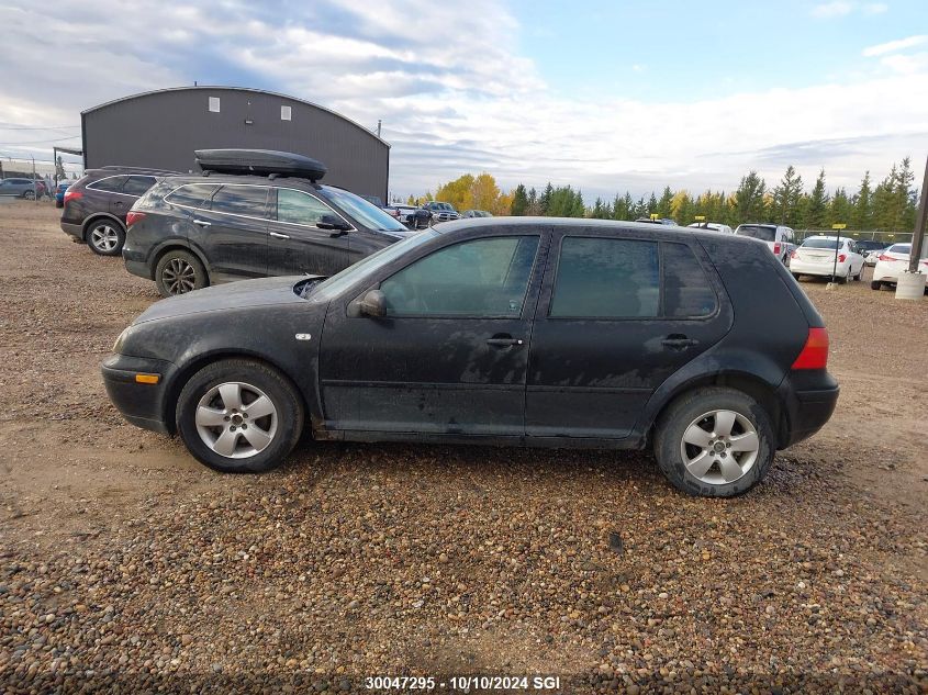 2002 Volkswagen Golf Gls VIN: 9BWGK21JX24034136 Lot: 30047295