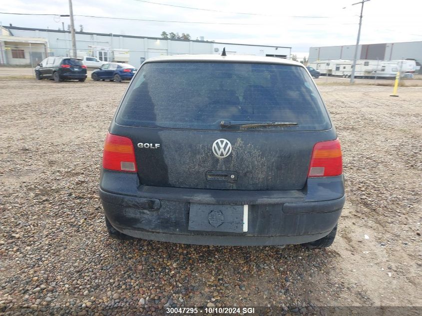 2002 Volkswagen Golf Gls VIN: 9BWGK21JX24034136 Lot: 30047295