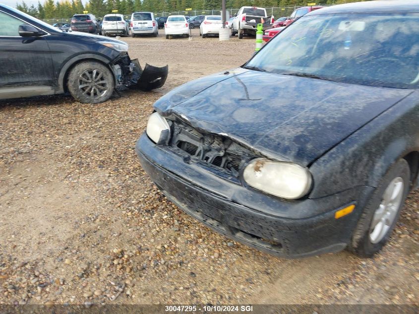 2002 Volkswagen Golf Gls VIN: 9BWGK21JX24034136 Lot: 30047295