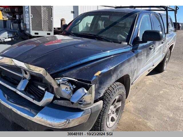 2005 Dodge Dakota Quad Slt VIN: 1D7HW48N35S310539 Lot: 30048181