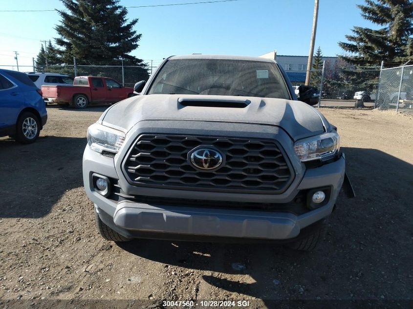 2020 Toyota Tacoma Double Cab/Sr5/Trd Sport/Trd Off Road VIN: 5TFDZ5BN7LX055280 Lot: 30047560