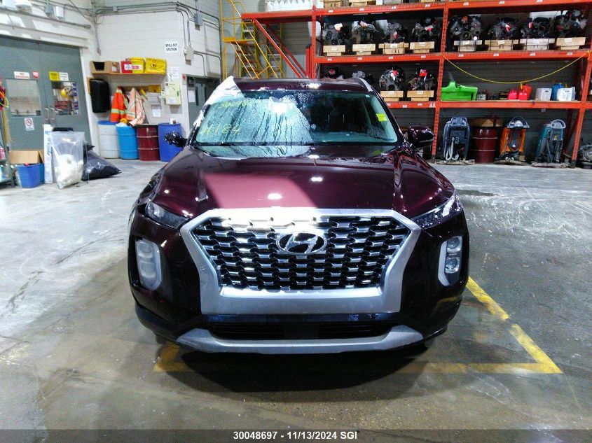 2020 Hyundai Palisade Sel VIN: KM8R3DHE7LU049565 Lot: 30048697