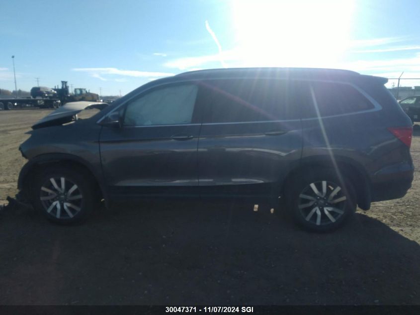 2020 Honda Pilot Black VIN: 5FNYF6H74LB504191 Lot: 30047371