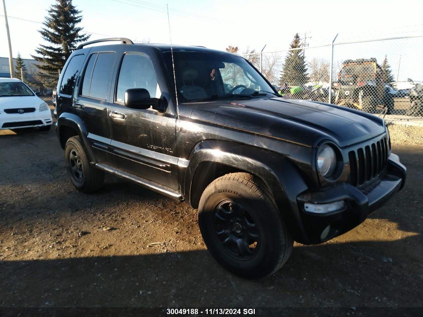 2002 Jeep Liberty Limited VIN: 1J4GL58KX2W140916 Lot: 30049188