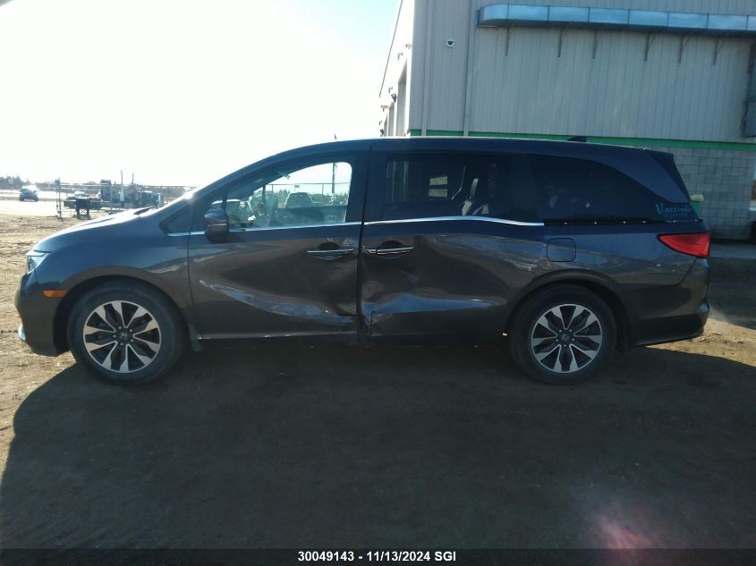 2022 Honda Odyssey VIN: 5FNRL6H61NB502065 Lot: 30049143