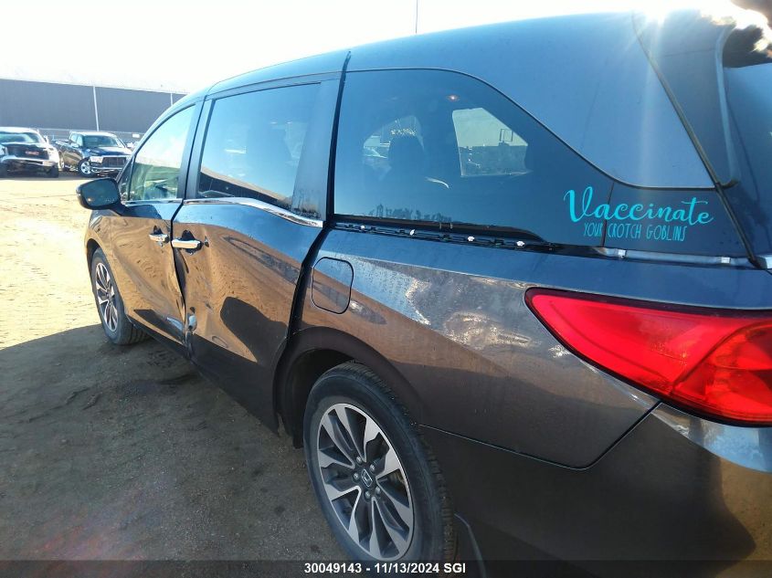 2022 Honda Odyssey VIN: 5FNRL6H61NB502065 Lot: 30049143