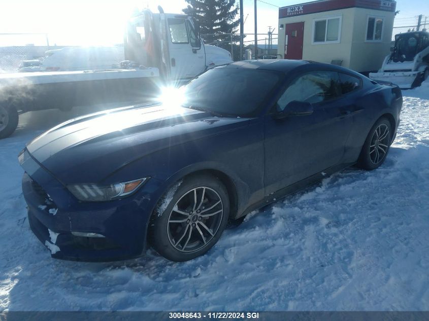 2016 Ford Mustang VIN: 1FA6P8TH4G5209802 Lot: 30048643