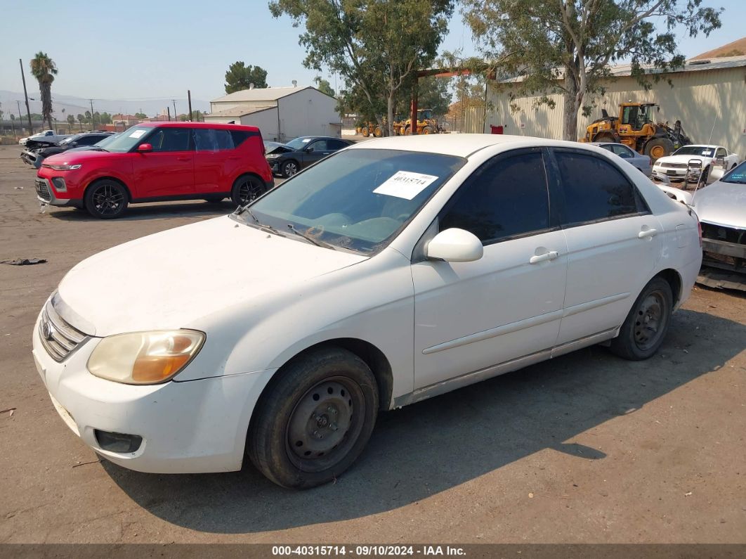 2009 KIA SPECTRA EX White  Gasoline KNAFE222795614353 photo #3