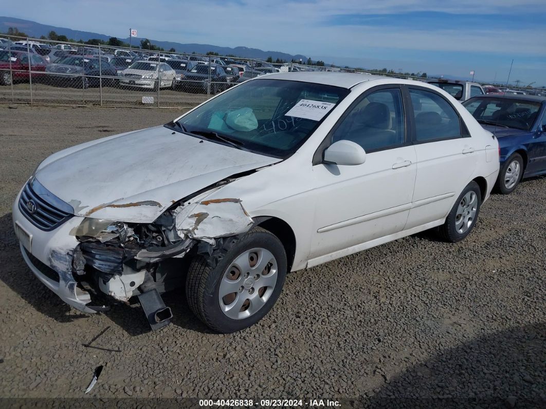 2009 KIA SPECTRA EX White  Gasoline KNAFE221295626062 photo #3