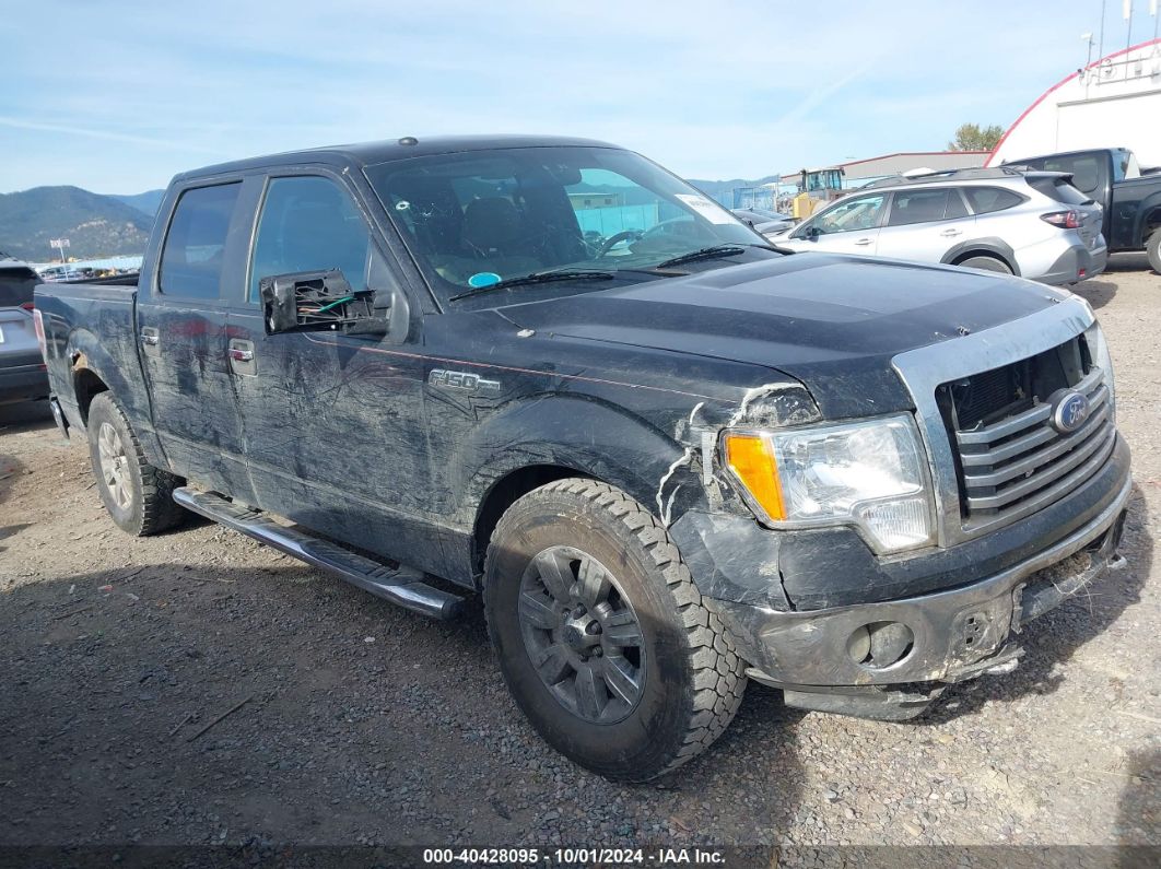 2010 FORD F-150 XL/XLT Black  Gasoline 1FTEW1E8XAFA58205 photo #1