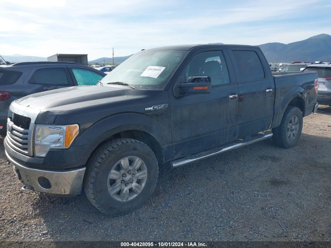 2010 FORD F-150 XL/XLT Black  Gasoline 1FTEW1E8XAFA58205 photo #3