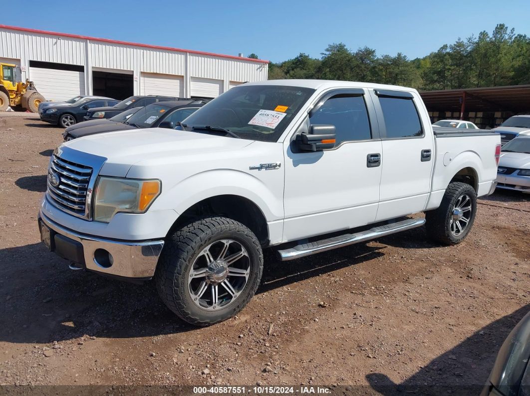 2011 FORD F-150 XLT White  flexible fuel 1FTFW1EFXBFB51214 photo #3