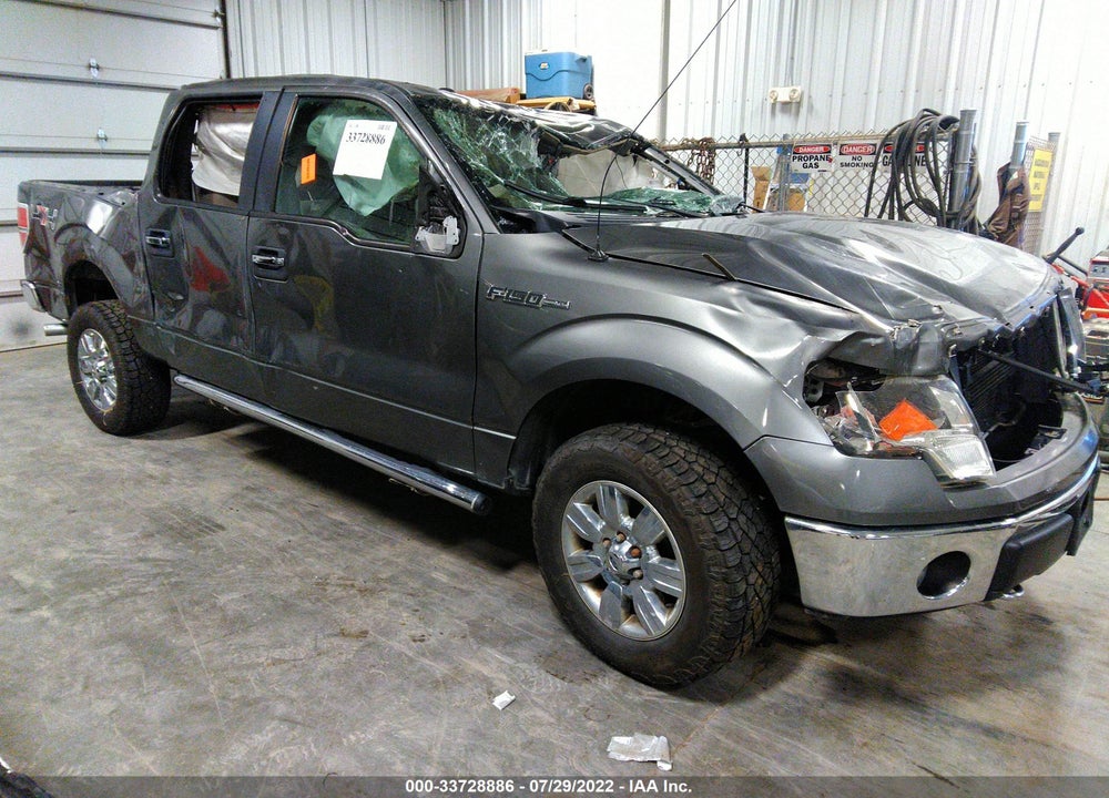 2010 FORD F-150 XL/XLT VIN: 1FTEW1E85AFA21983